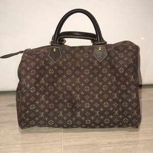 Louis Vuitton Speedy Cloth Handbag